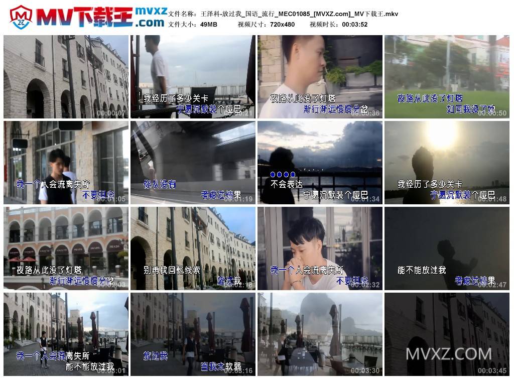 王泽科-放过我_国语_流行_MEC01085